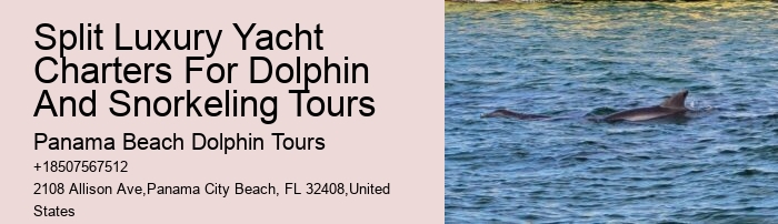 Split Sunrise Dolphin Watching And Snorkeling Trips