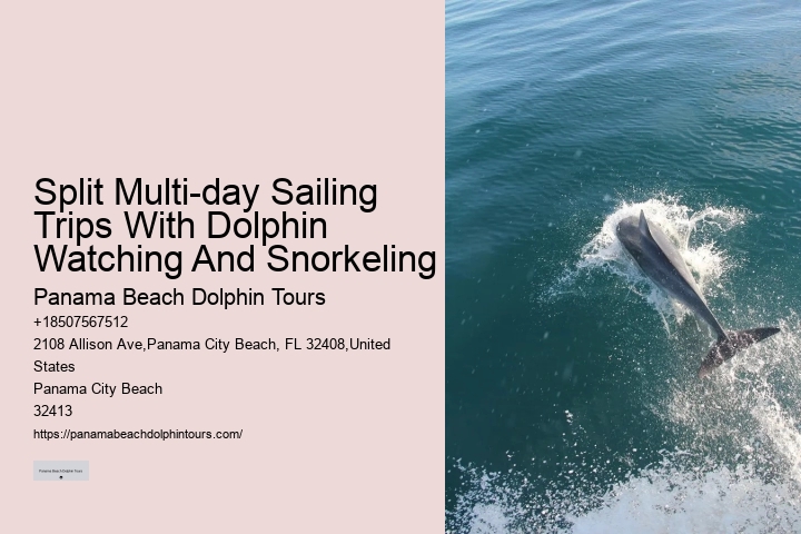 Dolphin Tours Tarpon Springs