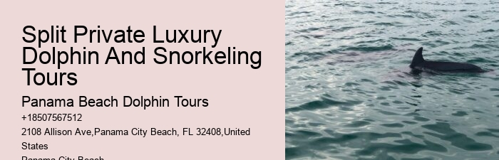 Dolphin Tours Near Me Panama City Beach