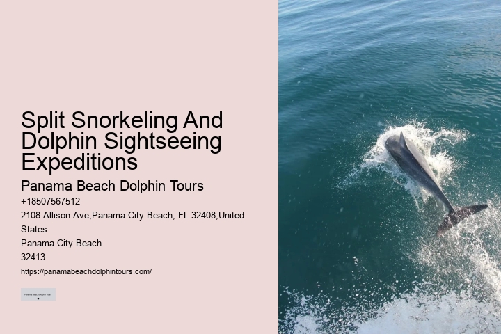 What Is The Sad Truth About Dolphins