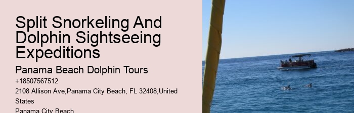 Dolphin Tales: Dolphin Mating Habits