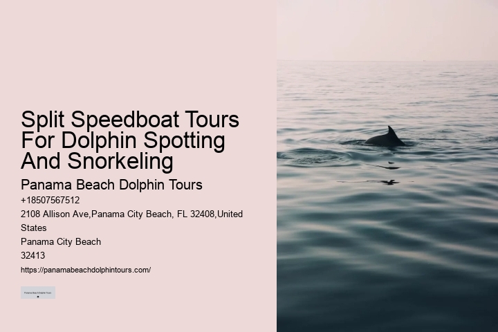 Are there any age restrictions for dolphin tours in Panama City Beach