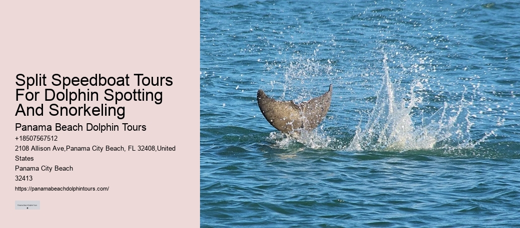 Snorkeling Tours