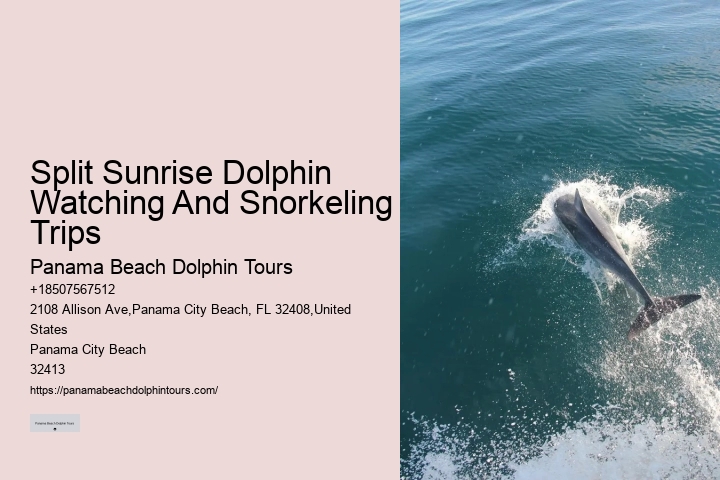 Dolphin & Snorkeling Tours Panama City Beach