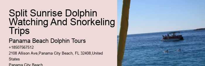 Are Panama City Beach dolphin tours available year-round