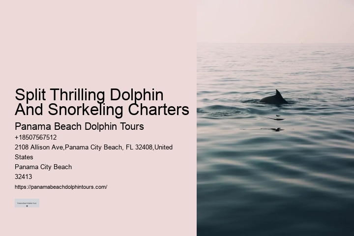 Is there a restroom on board the dolphin tour boats