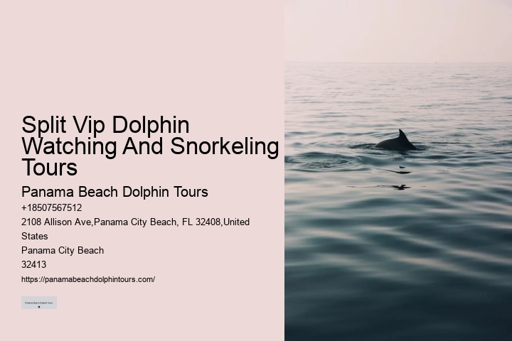 Do You Need Water Shoes For Dolphin Encounter
