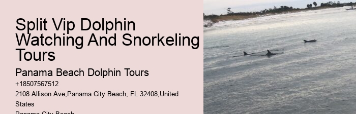 Dolphin Tours 30a