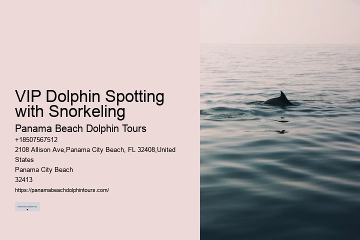 What is the refund policy if I'm not satisfied with the dolphin tour