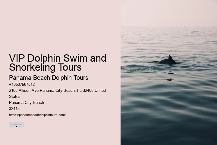 Split Charter Dolphin Snorkeling Tours