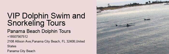 Dolphin Boat Adventures in PCB