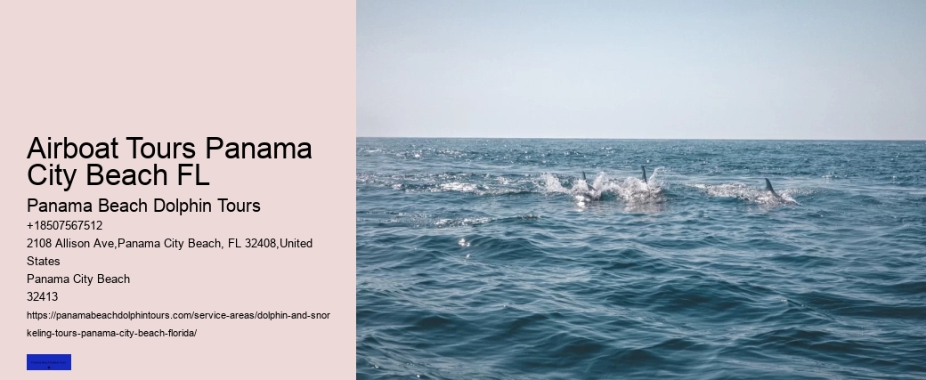 Panama City Beach Dolphin Sunset Cruise