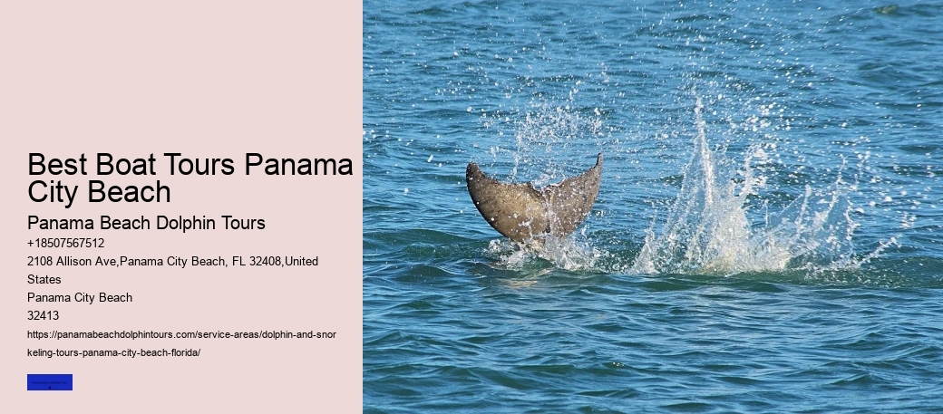 Panama City Beach Airboat Tours