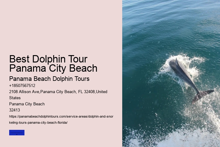 Dolphin Cruise