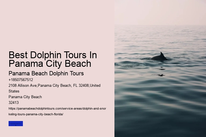 Do Dolphins Like Swimming With Humans