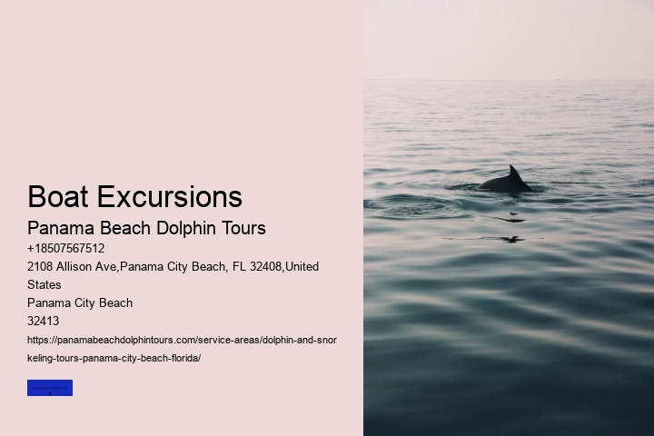 Dolphin Tours