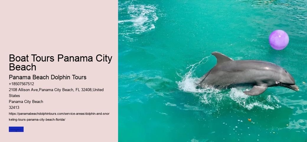What Grade Level Is Swimming With Dolphins