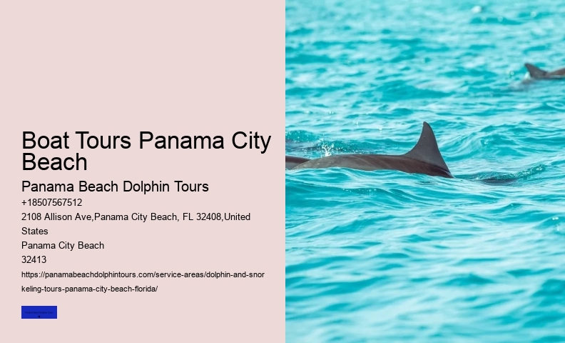 Best Dolphin Tours In Panama City Beach