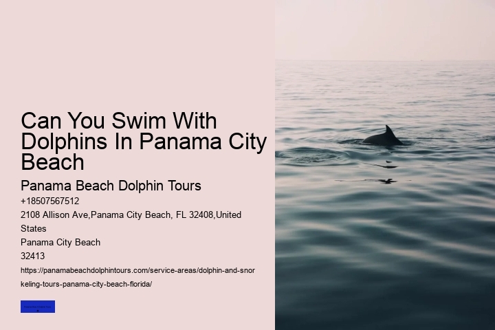 Dolphin Tour Rosemary Beach
