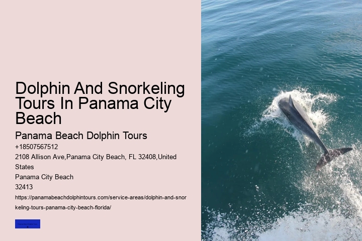 Why You Shouldn't Swim With Dolphins