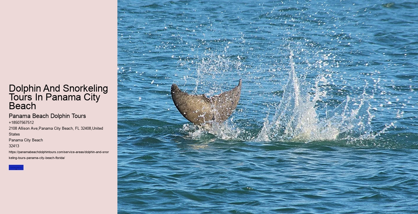 Why Should You Not Push A Beached Dolphin Back Into The Water