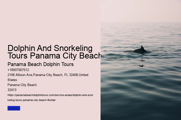Dolphin Watching Tour Panama City Beach