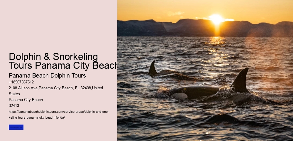 Panama City Beach FL Dolphin Cruise