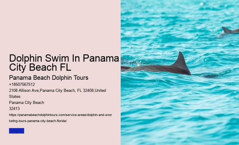 Tips And Advice For Swimming With Dolphins