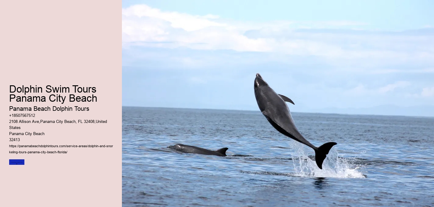 Waverunner Dolphin Tours Near Me