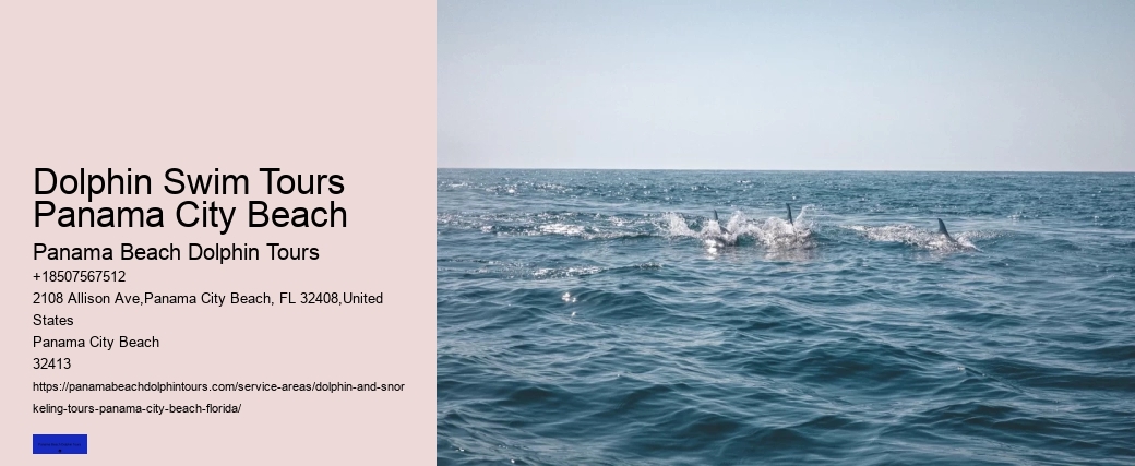 Dolphin Cruises