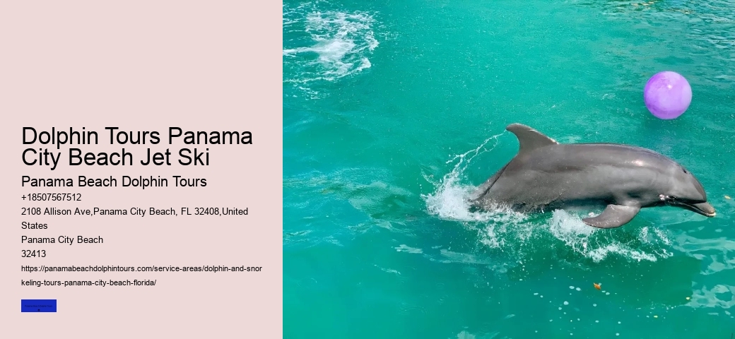 Beach Dolphin