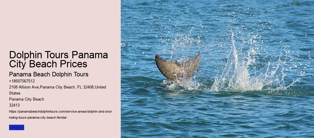 Is Swimming With Dolphins Ethical