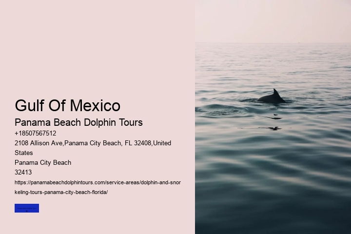 Sunset Dolphin Cruise Panama City Beach FL