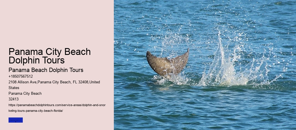 What Is The Best Month To Go Whale Watching