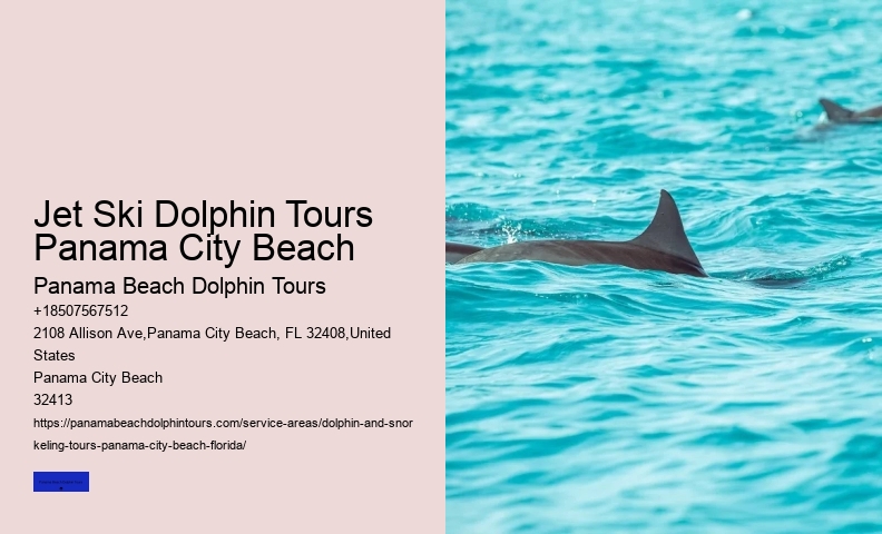 Panama City Beach Dolphin And Snorkel Tours