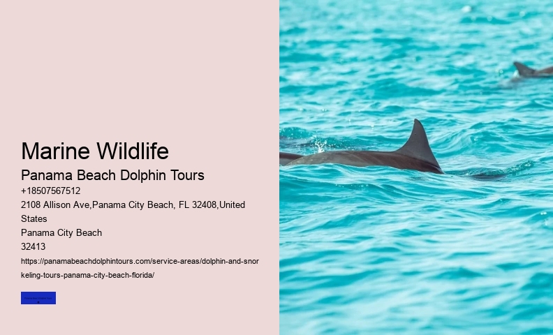 Panama City Beach Boat Tours