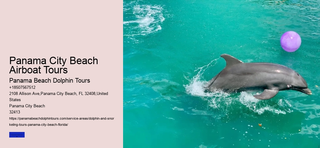 What To Do If A Wild Dolphin Approaches You