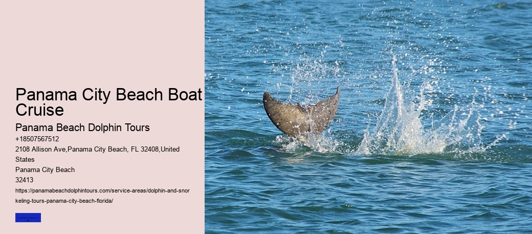 Small Group Dolphin & Snorkel Tour