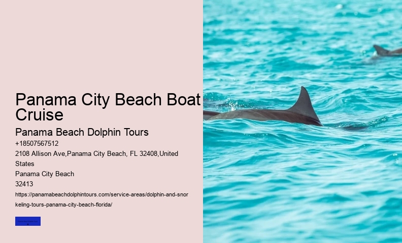 What Time Of Day Are Dolphins Most Active