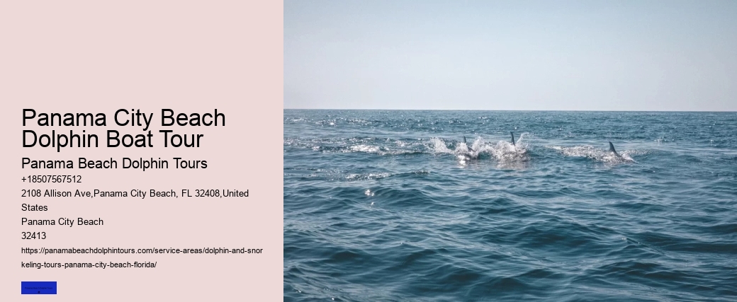 How Deep Is The Water When Swimming With Dolphins
