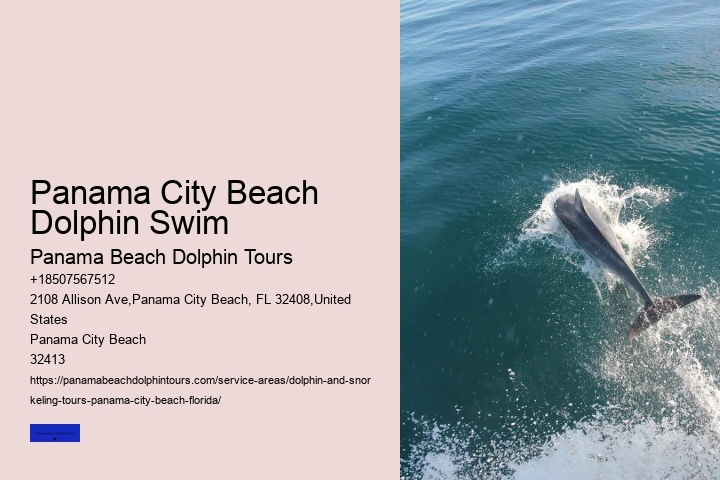 Dolphins Do Not Have A Sense Of Smell