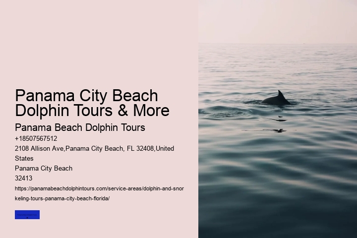 About Shell Island & Dolphins