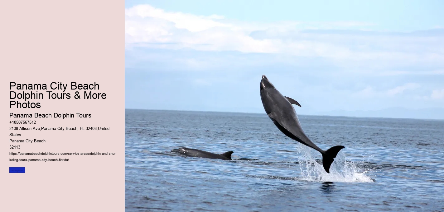 5 Reasons Not To Swim With Dolphins