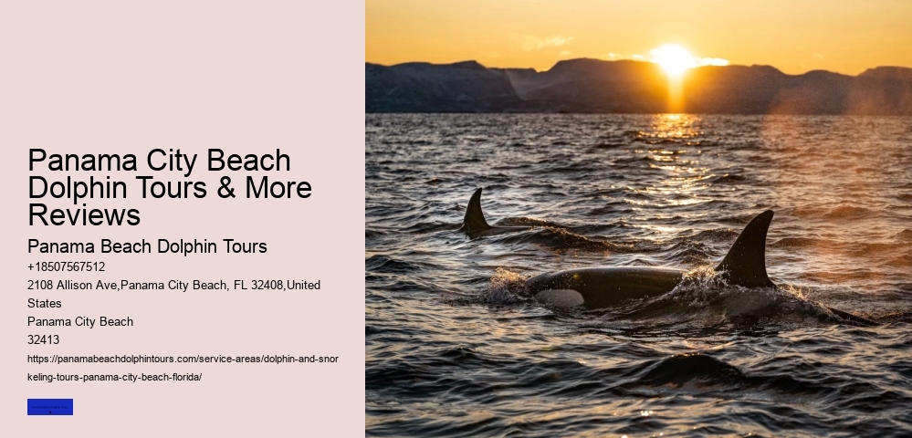 What Do Male Dolphins Do To Female Dolphins