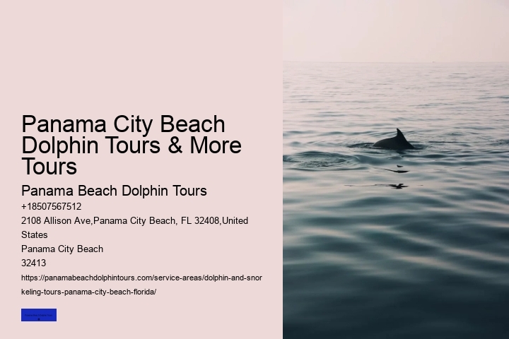 Do Dolphins Like To Swim With You
