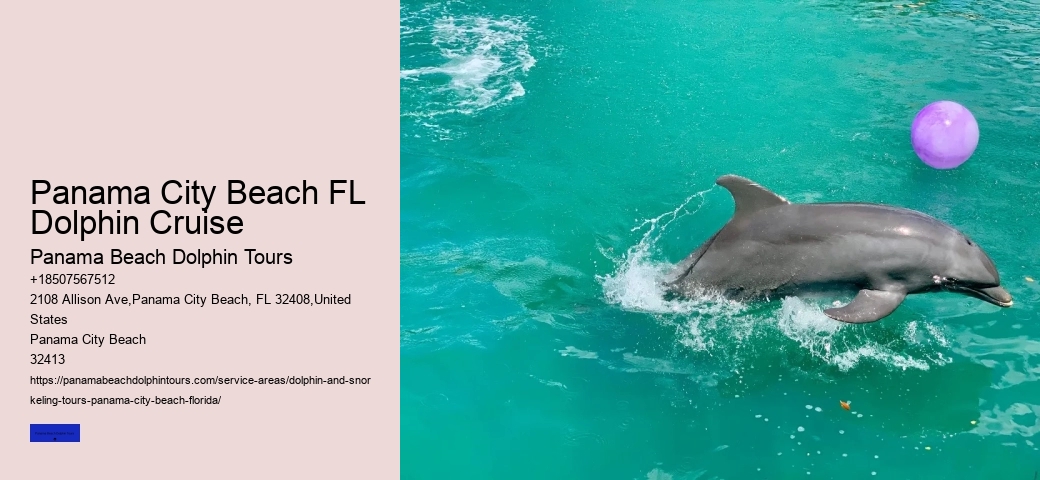 Sunset Dolphin Cruise Panama City Beach FL