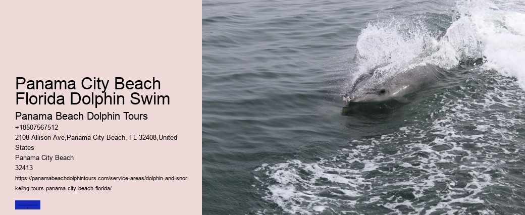 Why Do Dolphins Come Close To Shore In The Morning