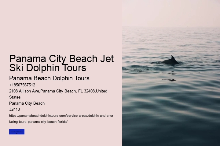 Where Are You Most Likely To See Dolphins In Florida