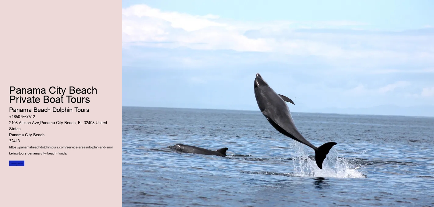Are Dolphins Aggressive Towards Humans