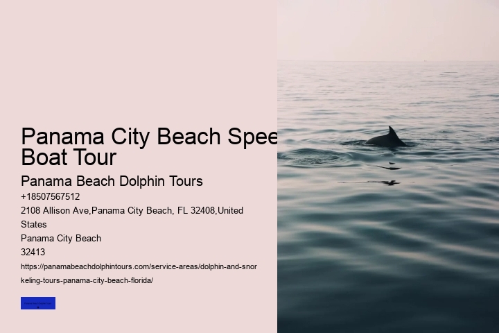 Daytime Dolphin Cruise Panama City Beach